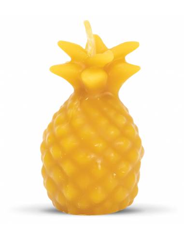 Forma silikonová - Mini ananas